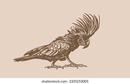 Graphical parrot cockatoo on sepia background,vector element of bird.Ink pen parrot