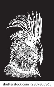 Graphical parrot cockatoo sitting on the branch of the tree isolated on black,vector element of bird.Ink pen parrot