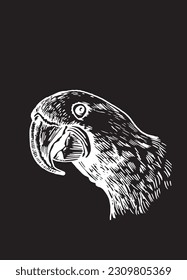 Graphical parrot cockatoo sitting on the branch of the tree isolated on black,vector element of bird.Ink pen parrot