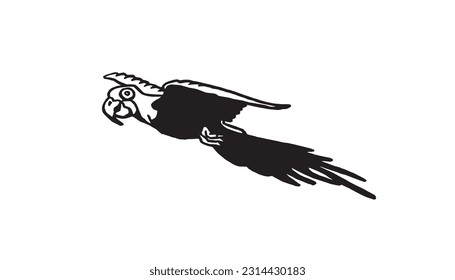 Graphical parrot flying  isolated on white,vector element of bird.Ink pen parrot