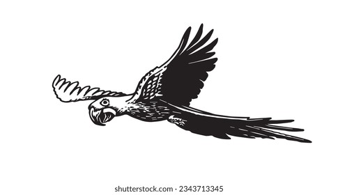 Graphical parrot  flying isolated on white,vector element of bird.Ink pen parrot for coloring,logo,design