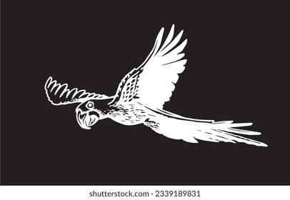 Graphical parrot on black,vector element of bird.Ink pen parrot for coloring,logo,design