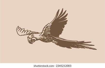 Graphical parrot  on sepia background,vector element of bird.Vintage illustration