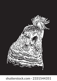 Graphical parrot  portrait isolated on black,vector element of bird.Ink pen parrot