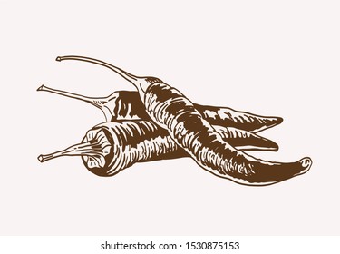 Graphical pepper , vintage illustration,vegetable
