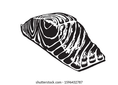 Graphical piece of salmon isolated on white background,vector illustration,red fish