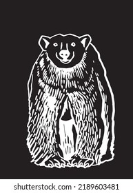 Graphical polar bear sketch isolated on black background,vector illustration. Hand-drawn white bear