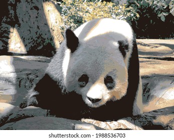 Graphical and pop animals that heal your mind 