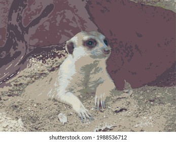 Animales gráficos y pop que curan tu mente 