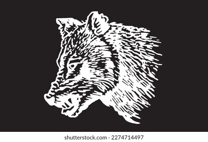 Graphical portrait of angry wolf isolated on black background,vector engraved illustration, forest animal