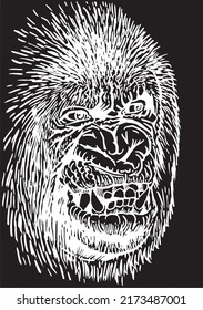  Graphical portrait of baboon isolated on black , vector head of monkey, illustration