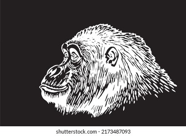  Graphical portrait of baboon isolated on black , vector head of monkey, illustration