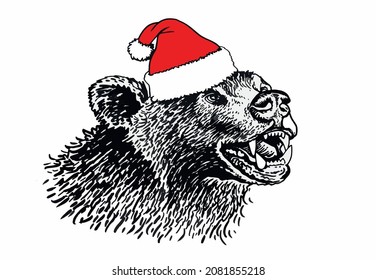 Graphical portrait of bear in Santa Claus hat isolated on white background,vector illustration