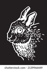 Graphical portrait of bunny isolated on black background,vector illustration,rabbit element