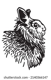 graphical portrait of bunny isolated on white background,easter bunny element