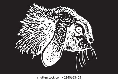 graphical portrait of bunny isolated on black background,easter bunny element