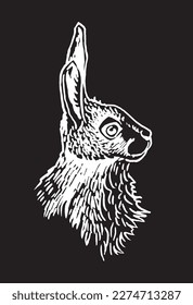Retrato gráfico de conejito aislado en fondo negro, roedor vectorial