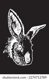 Graphical portrait of bunny isolated on black background, vector rodent