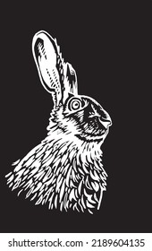 Graphical portrait of bunny with long ears isolated on black,vector illustration. Symbol of 2023 new year