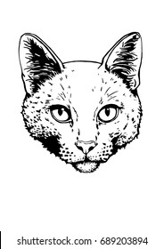 Graphical portrait of cat isolated on white. Vector illustration for coloring,printing and tattoo