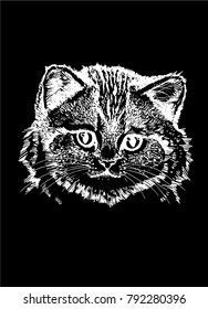  Graphical portrait  of cat isolated on black background, vector illustration