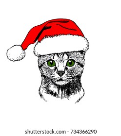 Graphical portrait of cat in Santa Claus hat isolated on white background,vector