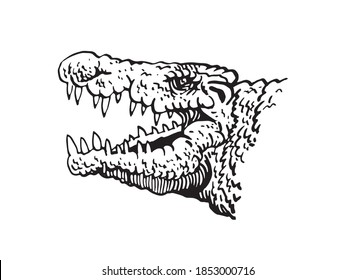 Graphical portrait of crocodile isolated on white background, vector illustration
