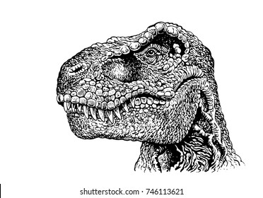 Graphical portrait of dinosaur looking into the distance isolated on white background .Vector illustration