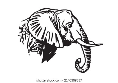 Graphical portrait of elephant iaolated on white background,vector element