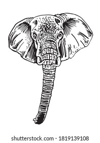 Graphical portrait of elephant isolated on white, vector illustration