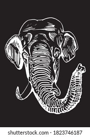 Graphical portrait of elephant isolated on black background, vector illustration