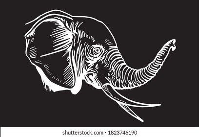 Retrato gráfico de elefante aislado en fondo negro, ilustración vectorial