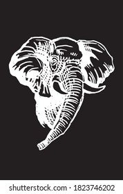 Graphical portrait of elephant isolated on black background, vector illustration