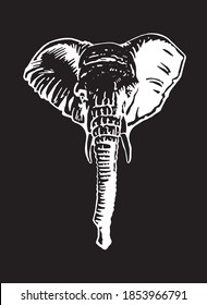Retrato gráfico de elefante aislado en fondo negro, ilustración vectorial grabada