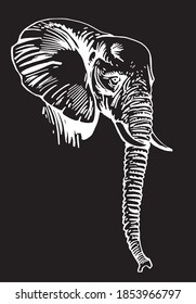Graphical portrait of elephant isolated on black background, vector engraved illustration