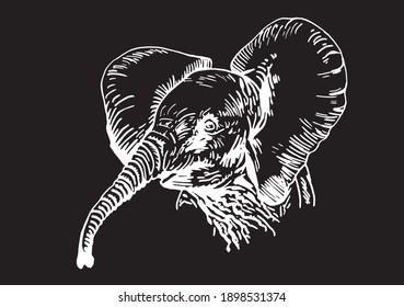 Graphical portrait of elephant isolated on black background, vector engraved illustration