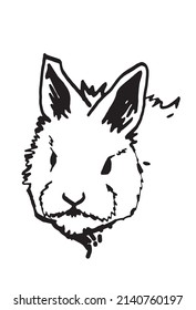 Graphical portrait of fluffy bunny isolated on white background,vector