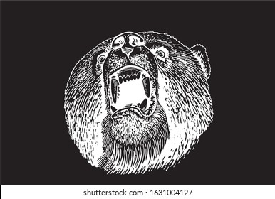 Graphical portrait of grizzly bear roaring isolated on black,vector illustration