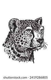 Graphical portrait of leopard on white background, vector illustration