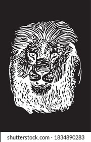 Graphical portrait of lion isolated on black, vector illustration