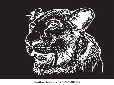 Graphical portrait of lion isolated on black background , vector illustration