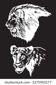 Graphical portrait of lion and lioness isolated on black background , vector engraved illustration