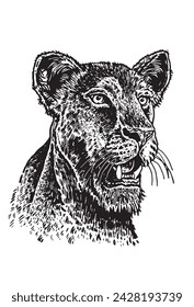 Graphical portrait of  lioness on white background, ink-pen illustration