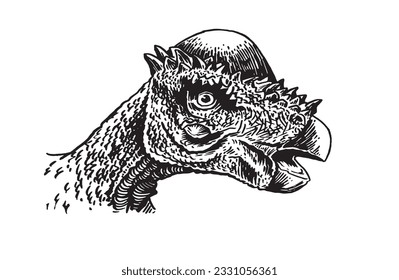 graphical portrait of Pachycephalosaurus isolated on white,vector illustration,dinosaur