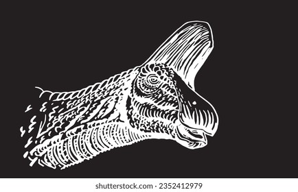 graphical portrait of Pachycephalosaurus on black,vector illustration,dinosaur