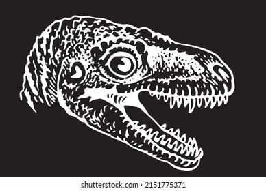 Graphical portrait of raptor isolated on black, vector dinosaur of jurassic period, illustration for educational books,printing and design