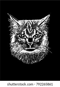Graphical portrait sketch of cat on black background,vector illustration