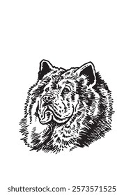 Graphical portrait of Tibetan Mastiff on white background,vector illustration