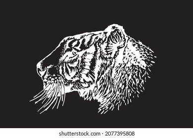Graphical portrait of tiger  isolated on black background,vector illustration, stripy wild savanna animal face