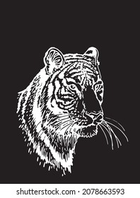 Retrato gráfico de tigre aislado en fondo negro, ilustración vectorial, frente animal de sabana salvaje estriada